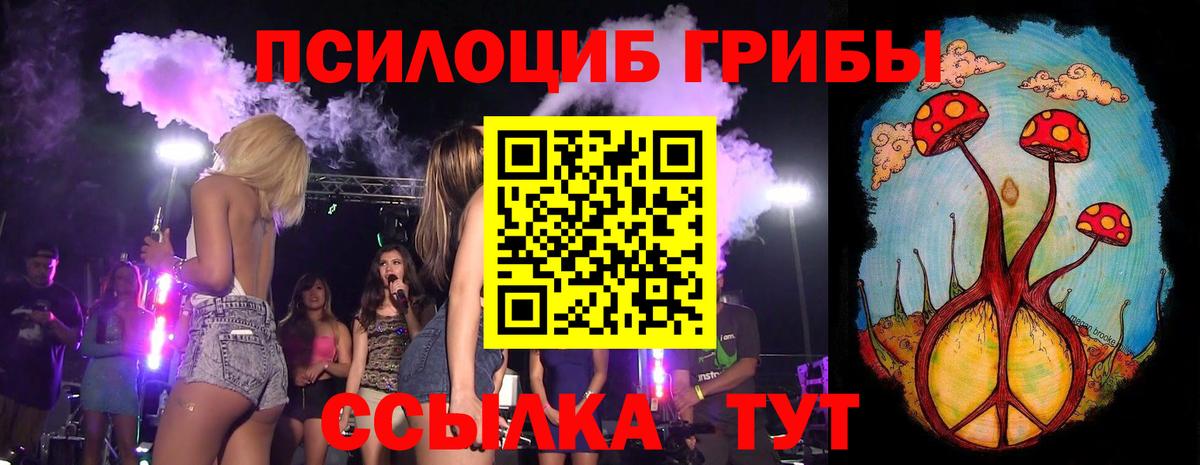 Псилоцибиновые грибы Psilocybe Лесозаводск